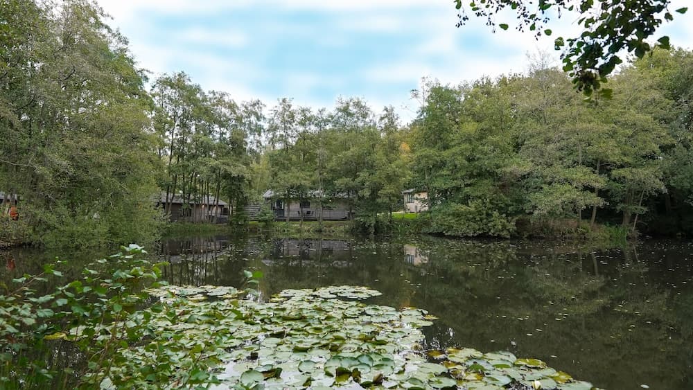 Warren Wood Country Park