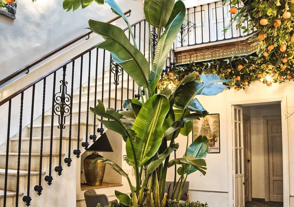 Casa Levante