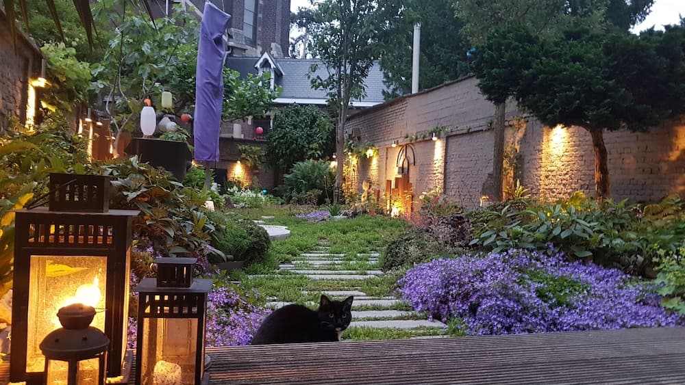 Bed & Breakfast Guesthouse Leman
