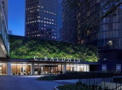 C. Baldwin, Curio Collection by Hilton 2