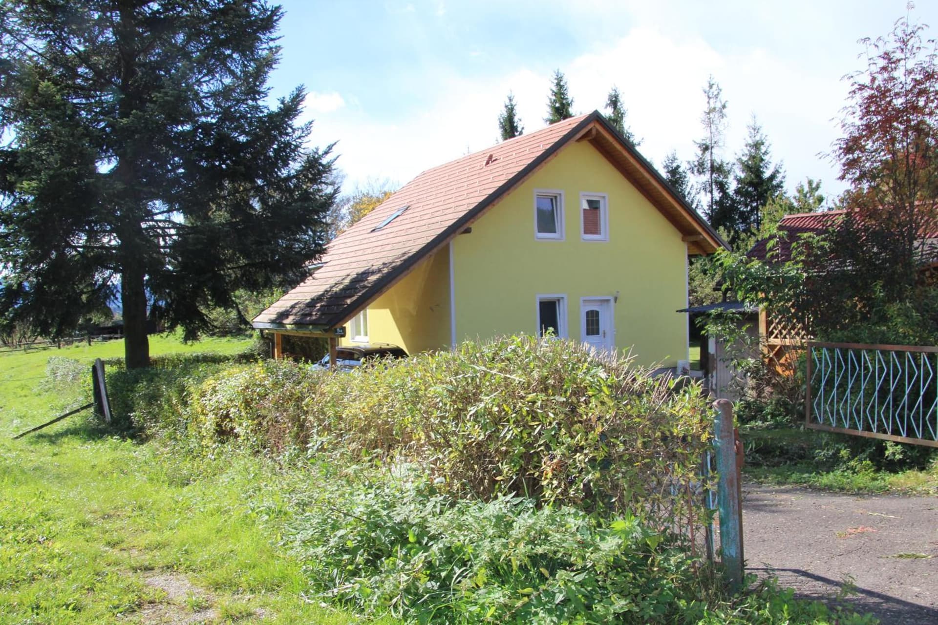 Narrenhaus