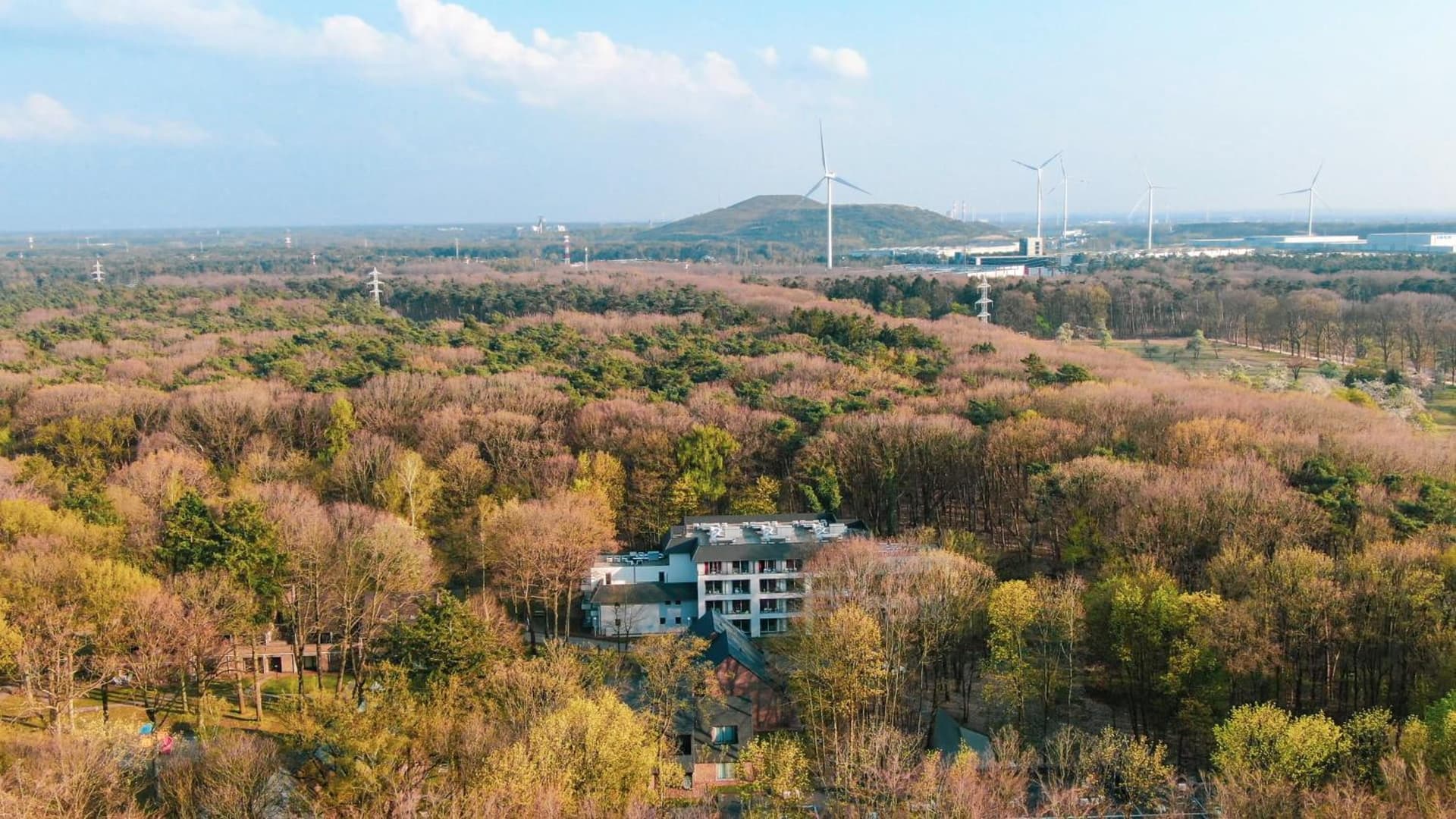 Green Resort Limburg