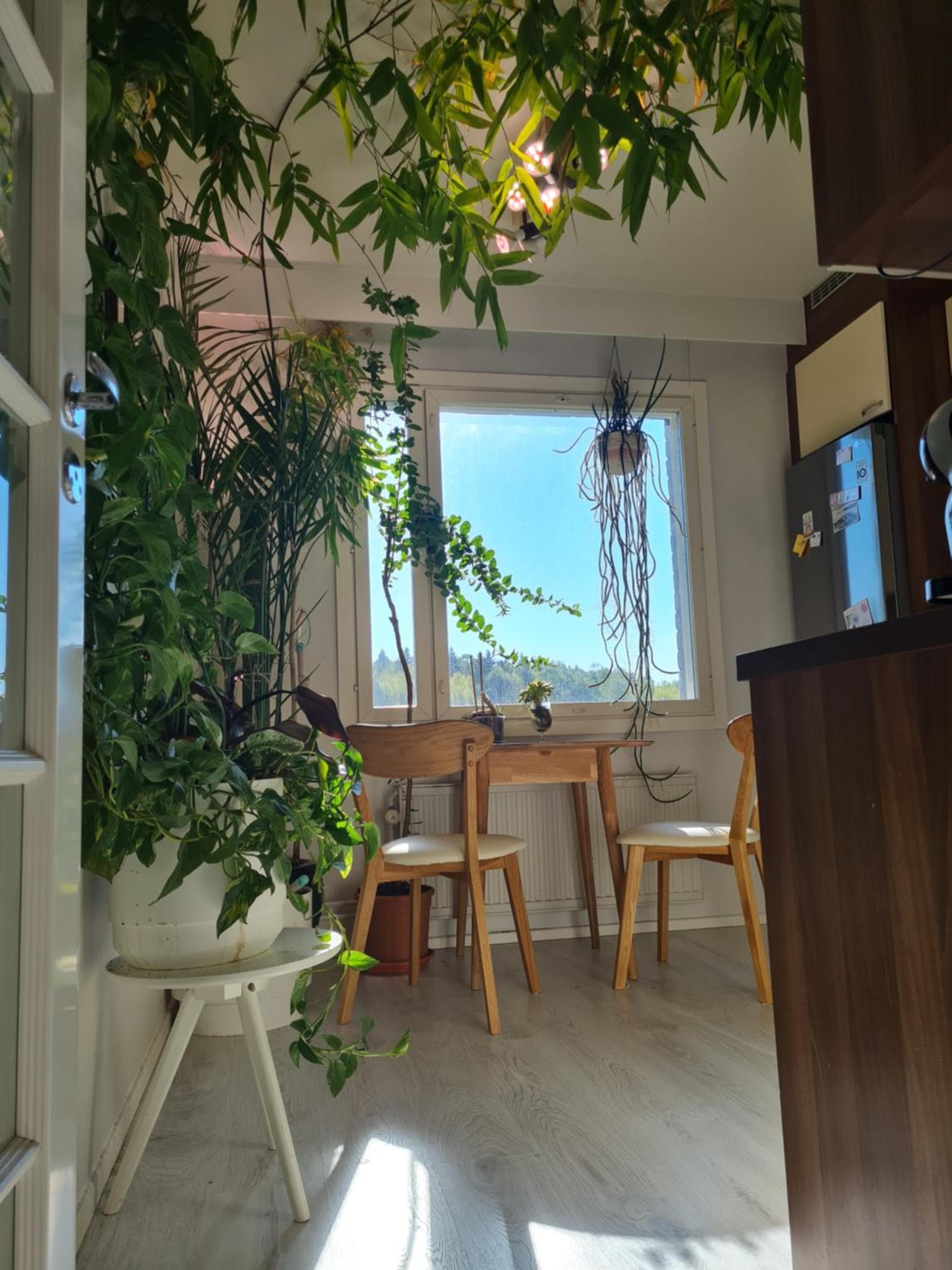 Paradise apartment
