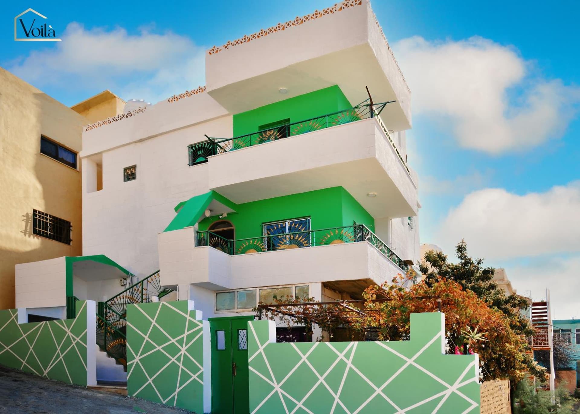 Petra Voila