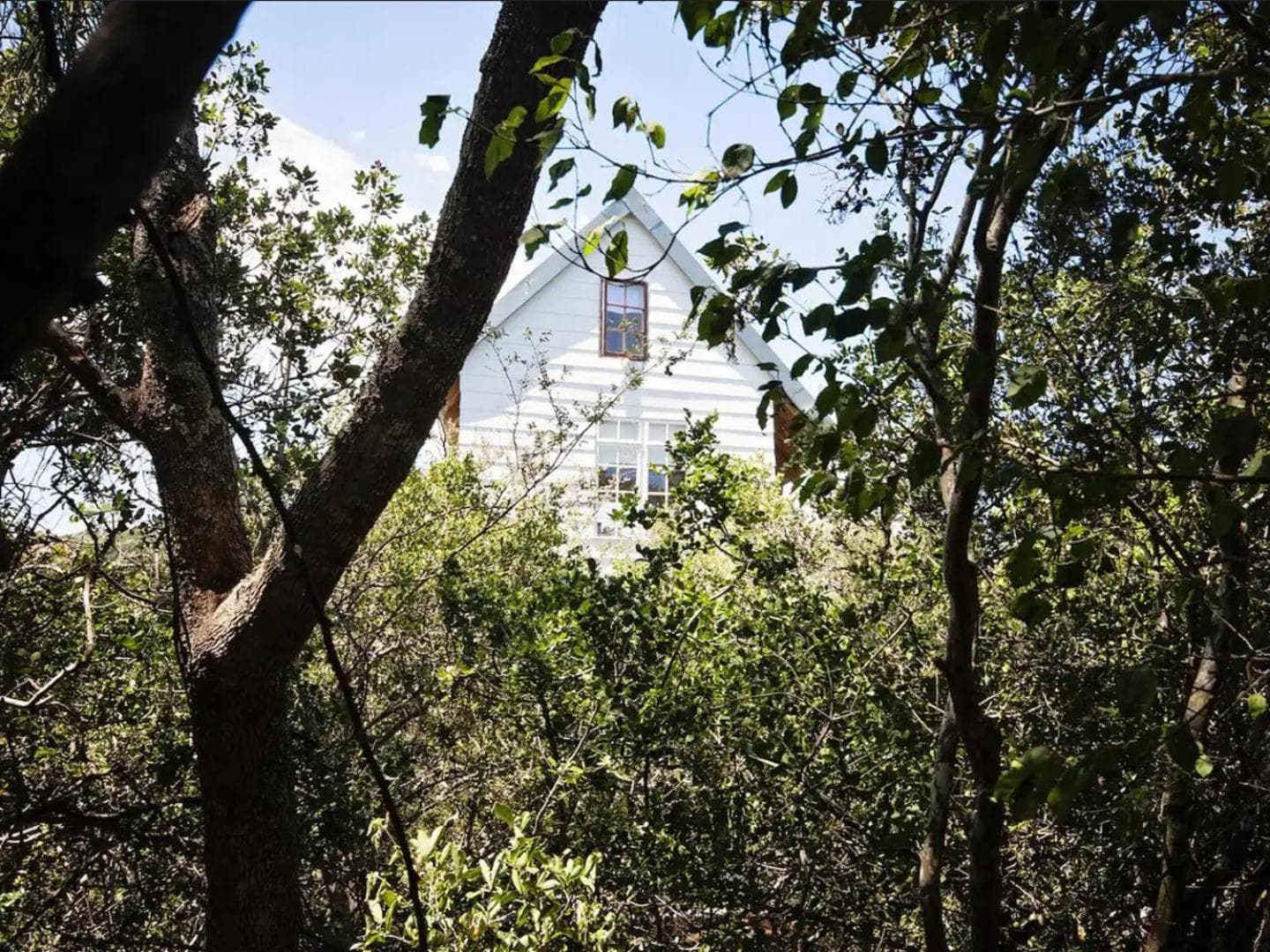 Chelsea Manor