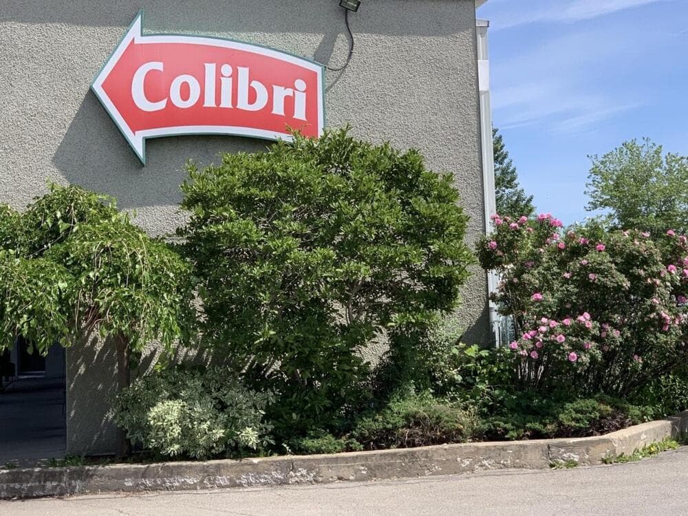 MOTEL COLIBRI