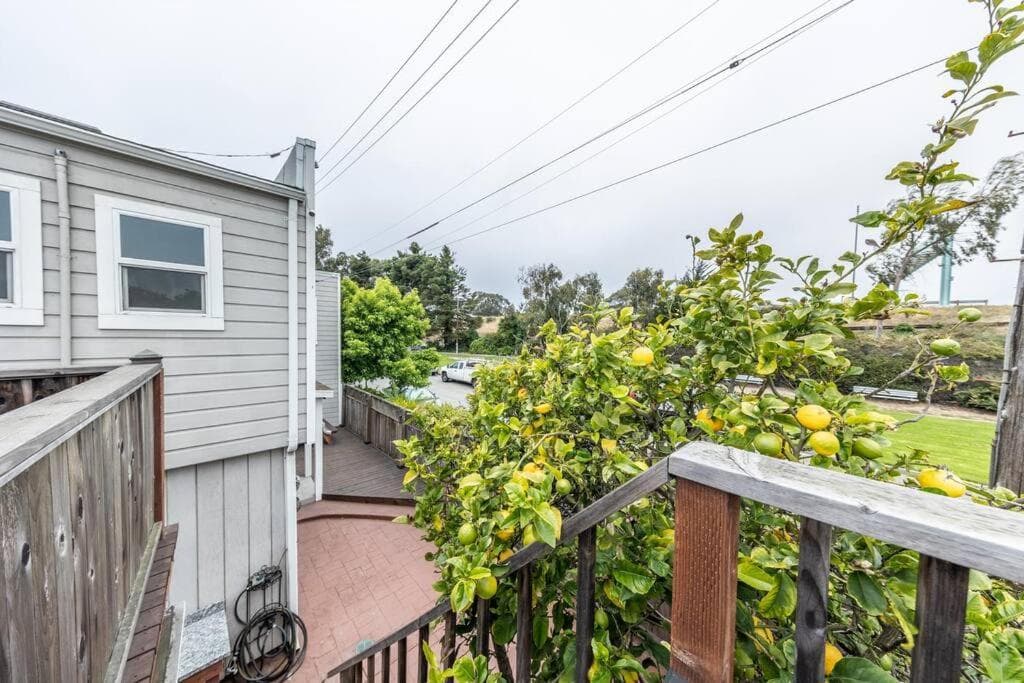 Quiet Home Near SFO with Backyard / BBQ