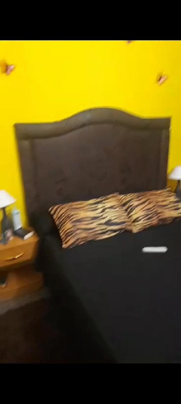 Lo de Roxy