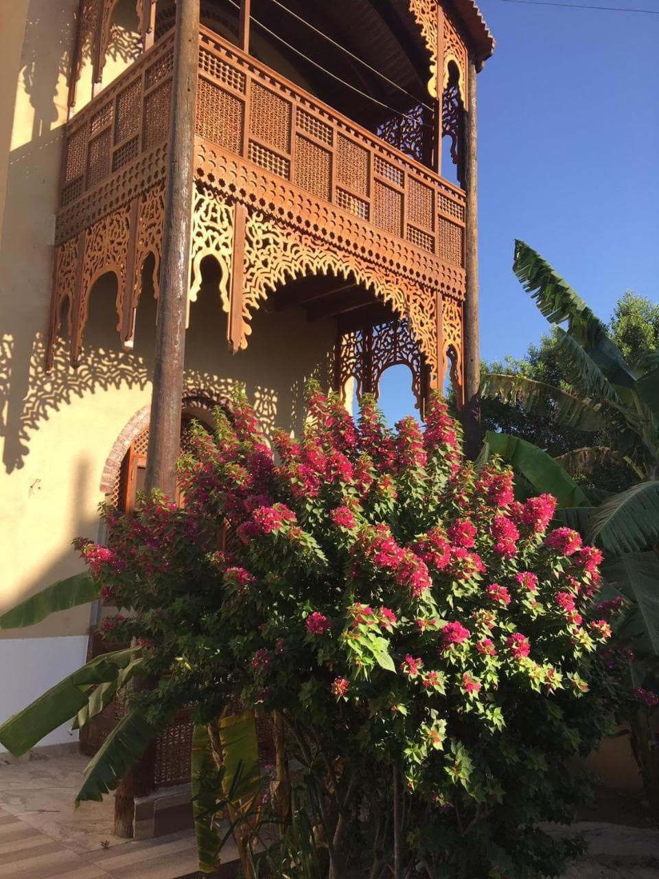 Garden view guest house