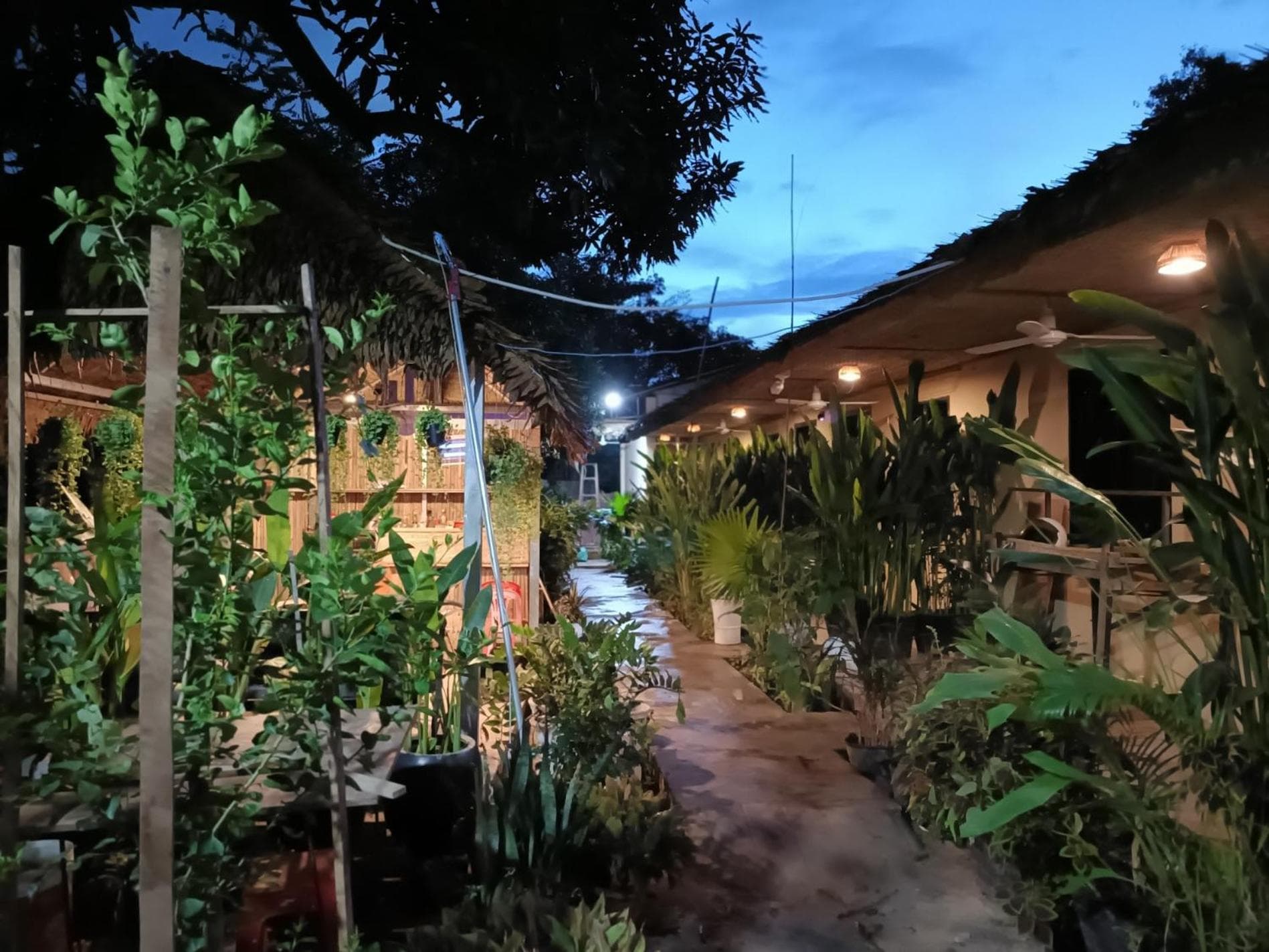 Siem Reap Homesteading II