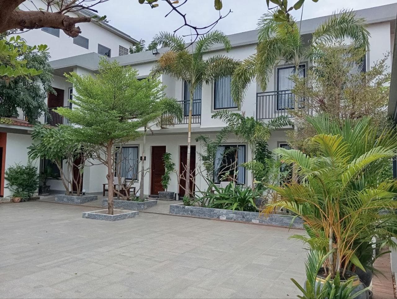 Apartment Green Amazon
