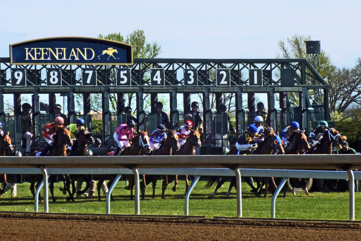 Breeders' Cup 2026